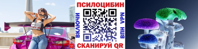 Купить  Губкин  Псилоцибиновые грибы Cubensis 